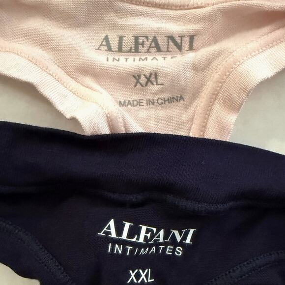 Alfani Intimates 2pc Lot Core Thong Panties - Pink & Blue - Size XXL XXLarge - Picture 4 of 6